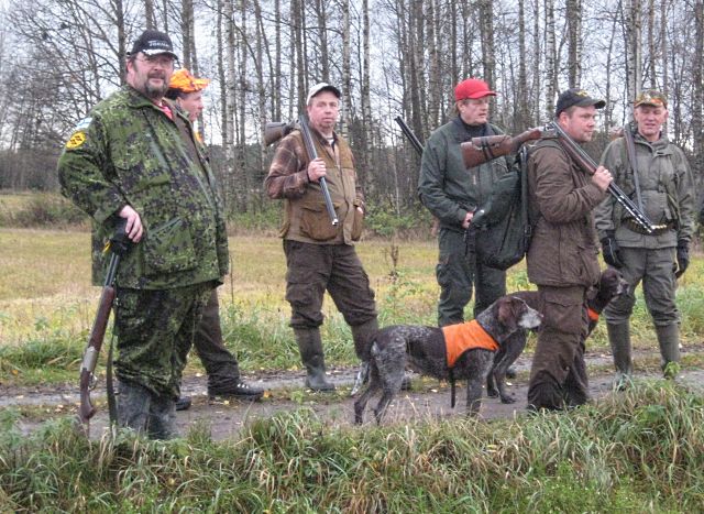 Peltopyyjahti, Lapua